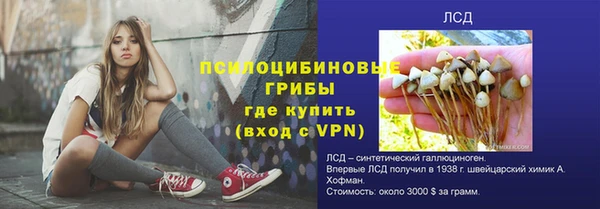 бошки Алексеевка