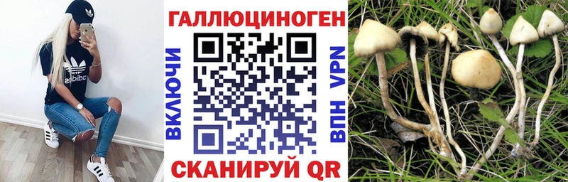 Галлюциногенные грибы Magic Shrooms Калязин